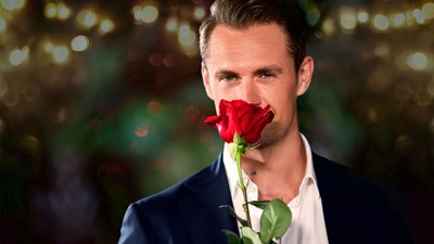 Bachelor 15